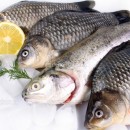 Автоматизация рыбного магазина около дома