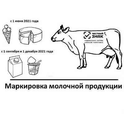 Обязательная маркировка мороженого и сыра введена с 1 июня 2021 года