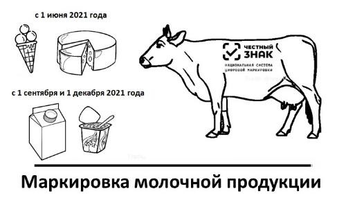 Обязательная маркировка мороженого и сыра введена с 1 июня 2021 года